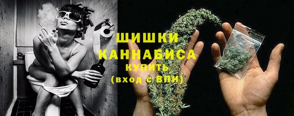 СК Дмитров