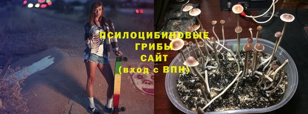 эйфоретик Балахна